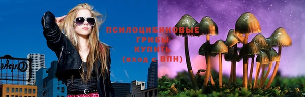 прущий лед Богородск