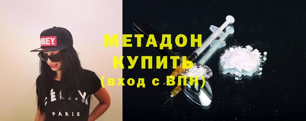 сатива Бородино