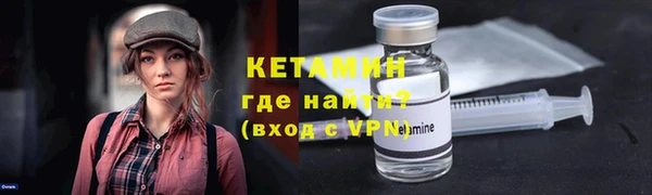 сатива Бородино
