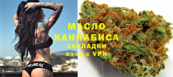 сатива Бородино
