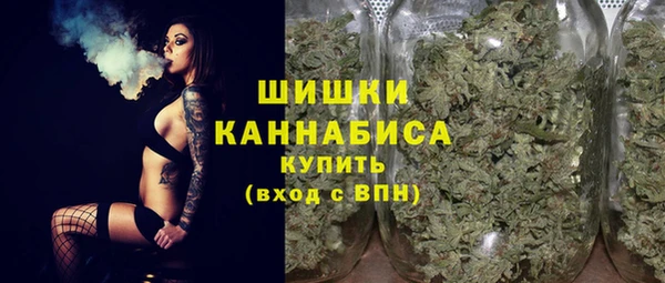 сатива Бородино