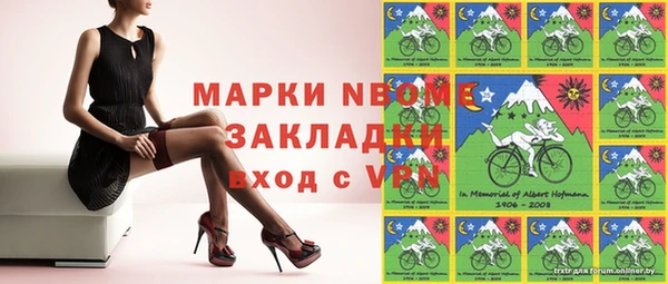 сатива Бородино