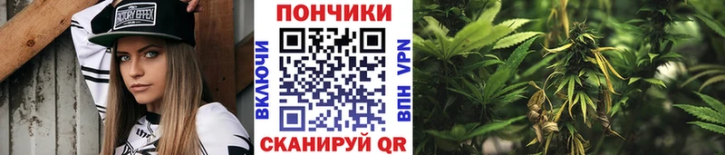 Купить  Дальнегорск  Бошки Шишки MAZAR 